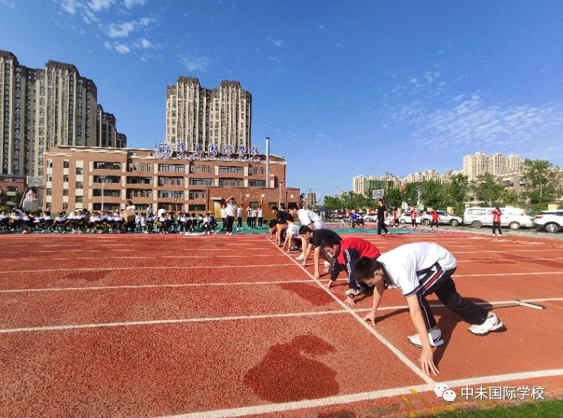 1605227375525015.jpg 92ee4305340b4b7ae29c7aebebba819d.jpg