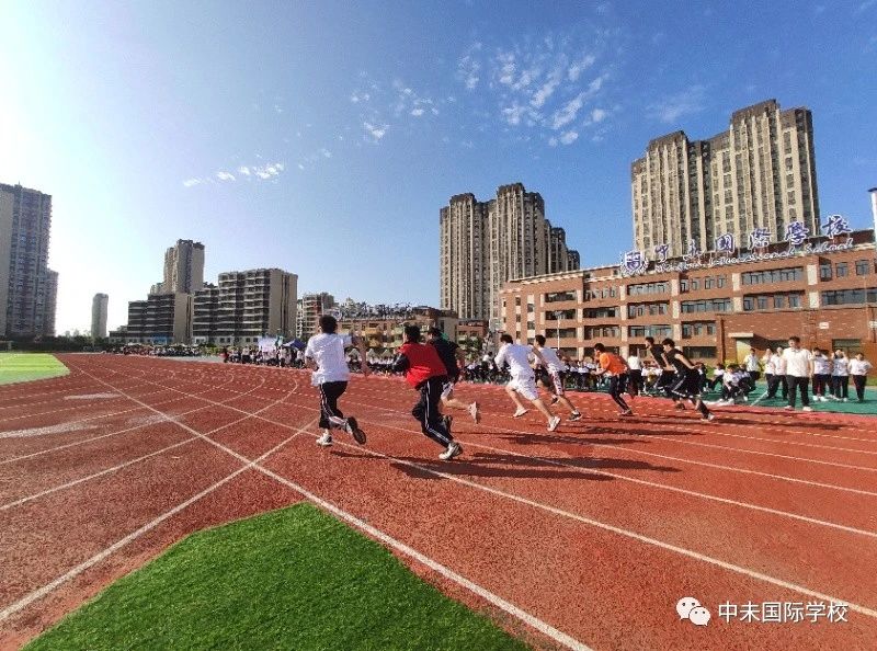 1605227467615508.jpg 514915df96f7b35711e63a9d7146408e.jpg