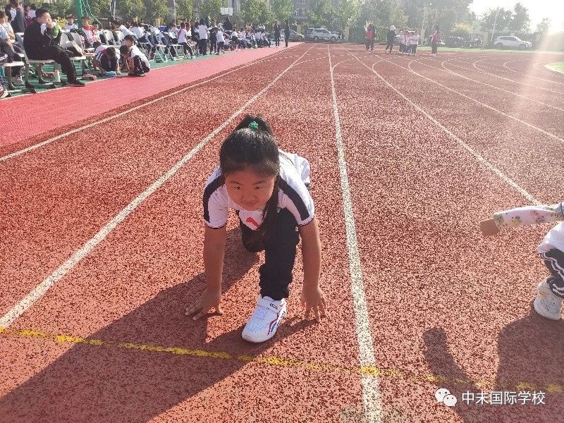 1605227496685341.jpg e9f3069571a5691042cd364ef745f507.jpg