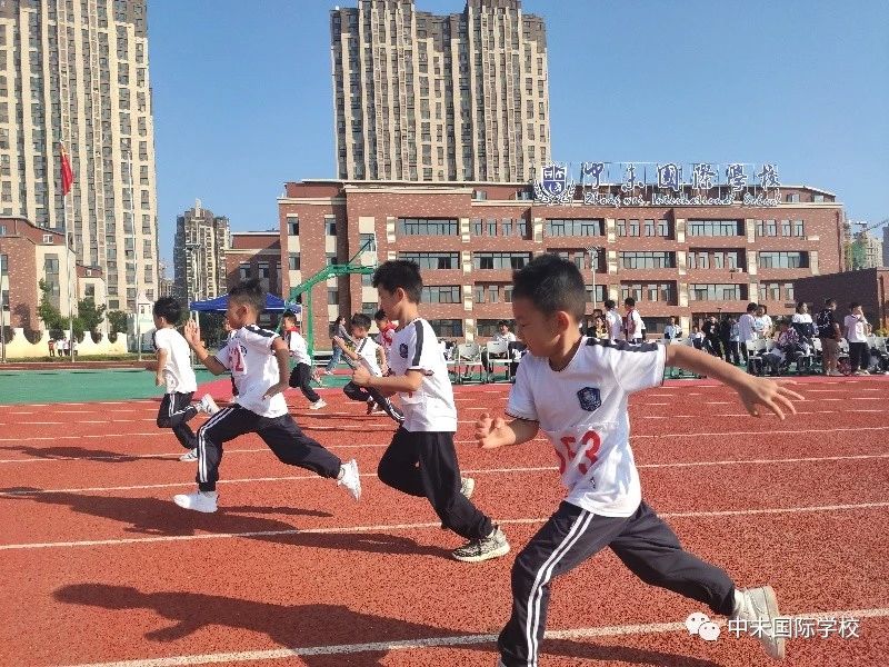 1605227729204929.jpg c74b15b8a10465a8359b0334c9d78a87.jpg