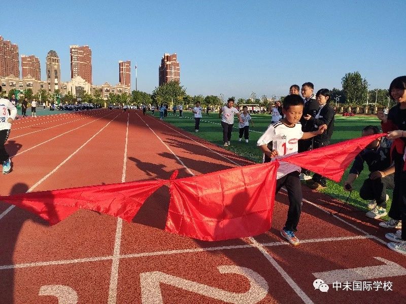 1605227858577563.jpg c8a788f1d19fce44de3e47e5a2bad7b8.jpg