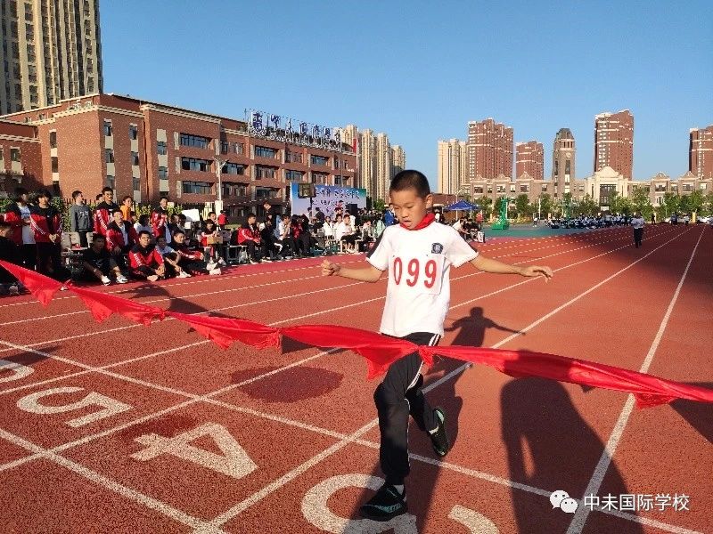 1605227866420344.jpg 83caf5b13d2f04f541c7c56a6ea0ca6e.jpg