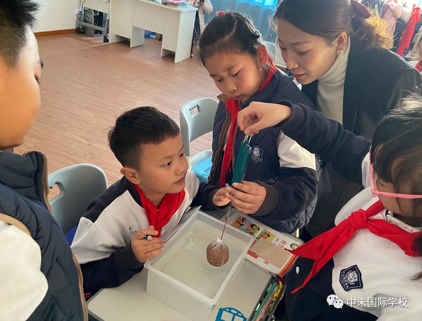 1615875116811464.jpg cdc0bcc4af0f574fa1a3df830690b4e9.jpg